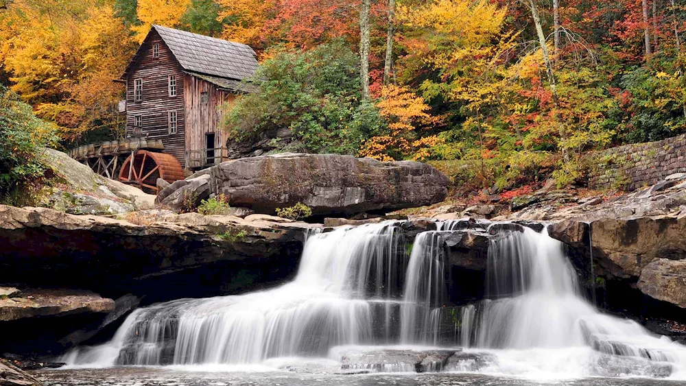 State of Virginia nature