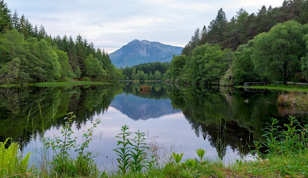 Schwarzwald Lake