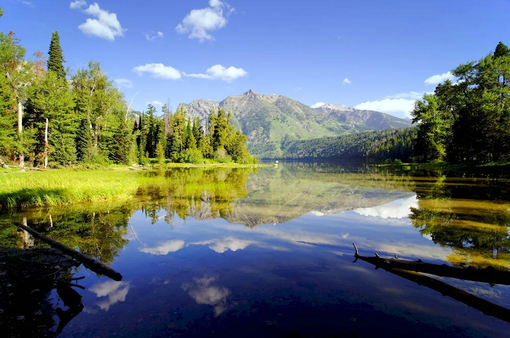 Schwarzwald Lake