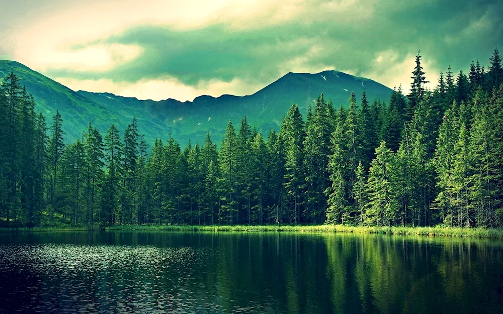 Schwarzwald Lake