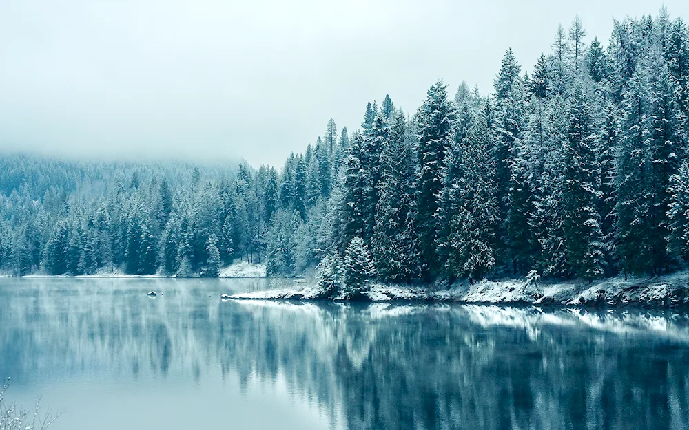 Yosemite National Park winter