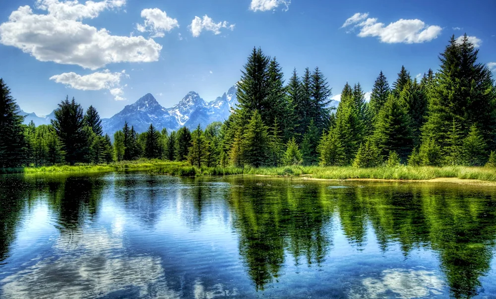 Schwarzwald Lake