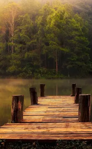 Black Forest Lake