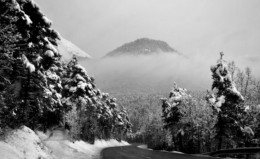 Winter landscape black white