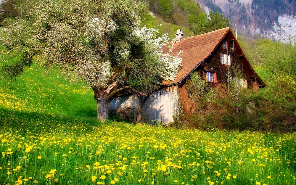 Swiss Alps Village