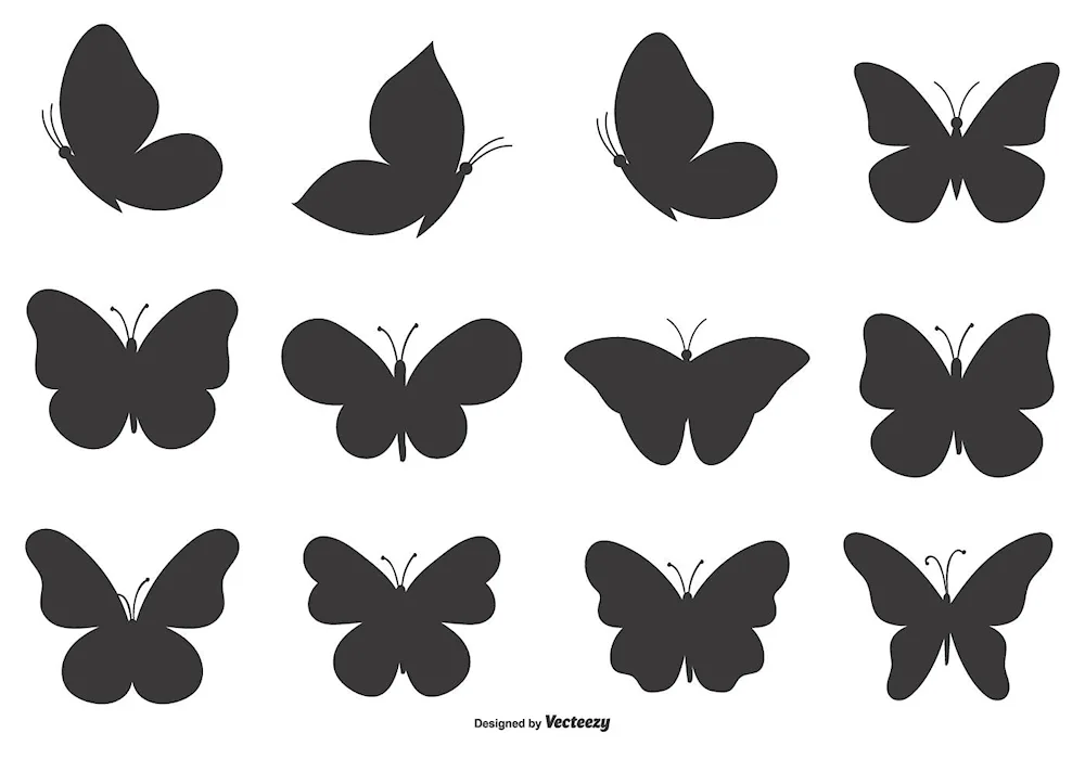 Butterfly silhouette