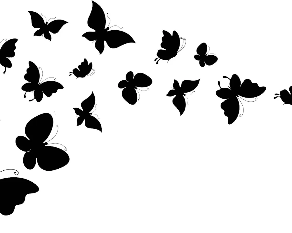 Silhouette butterfly