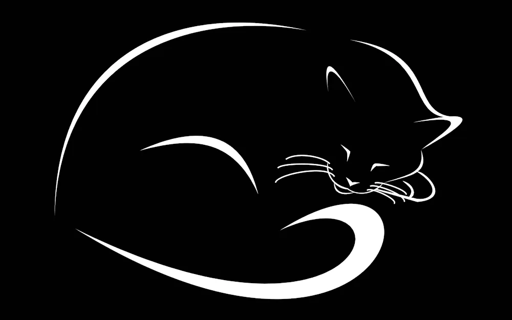 Silhouette of a cat