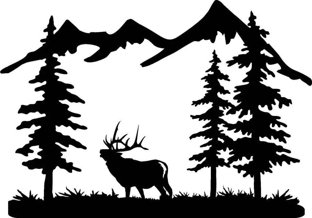 Silhouette of forests