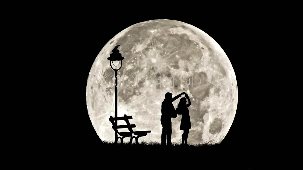 Silhouette on the moon background