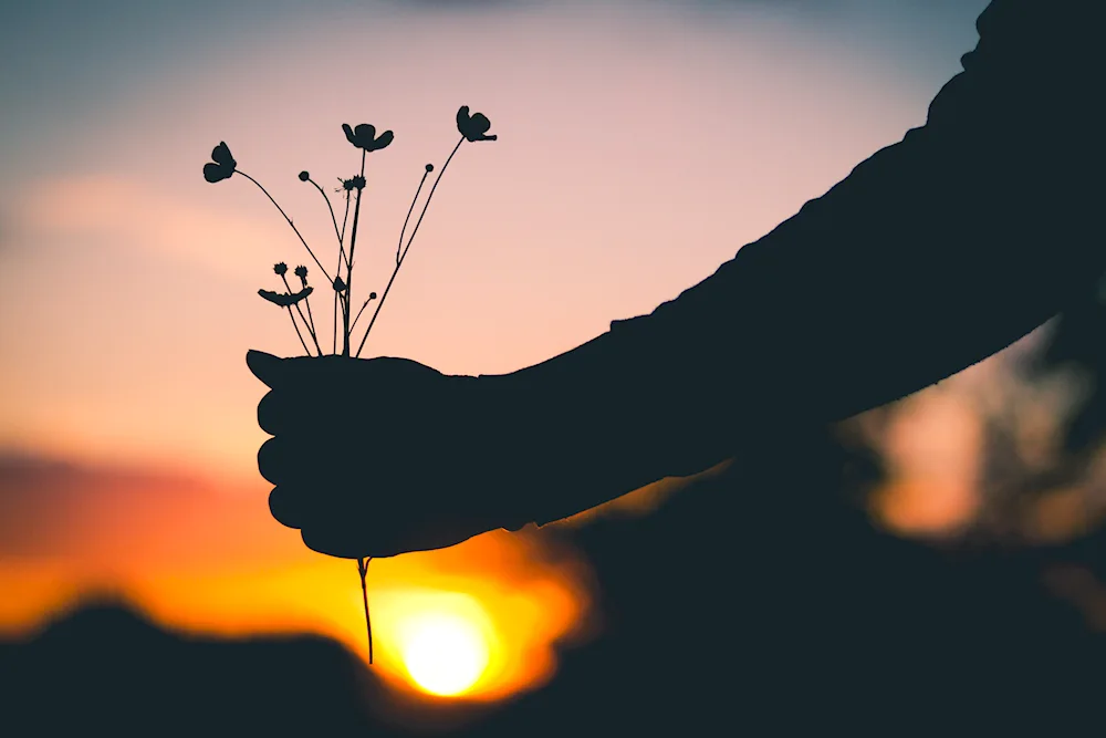 Hands on a dark background