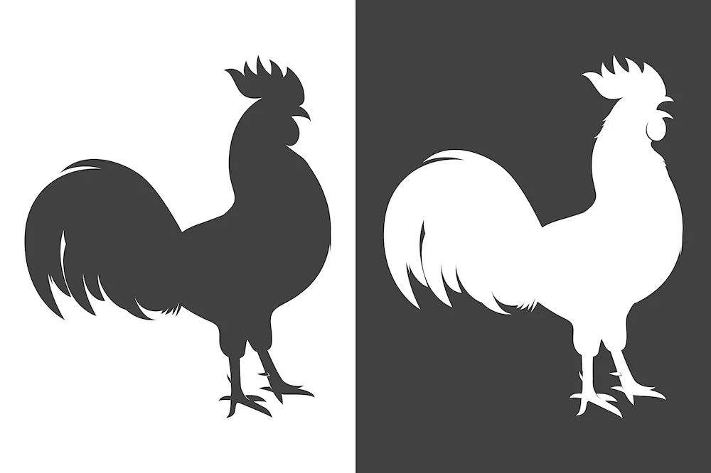 Cock silhouettes