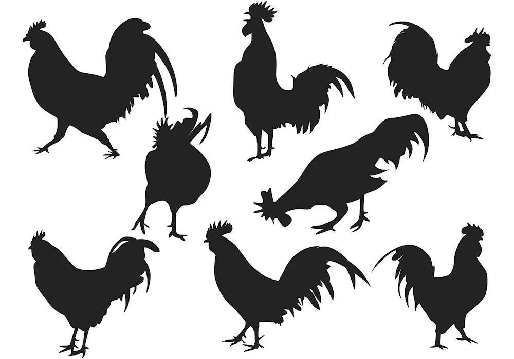 Stylized cockerel