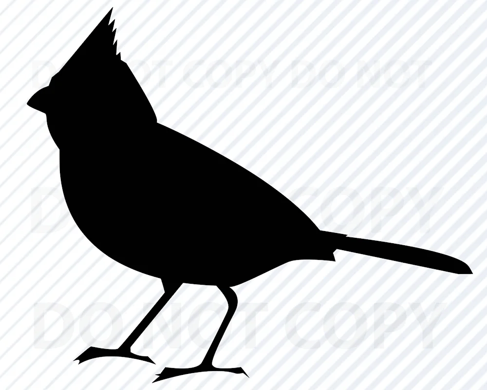 Silhouette of a bird