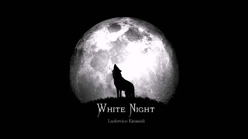 Wolf howling at night