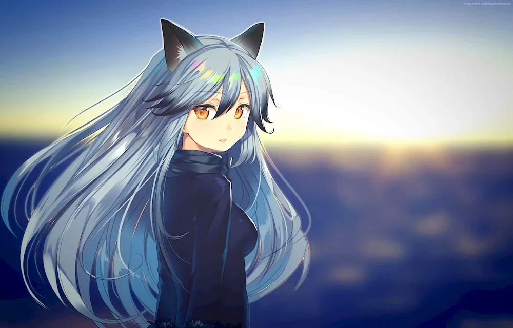 Silver Fox anime