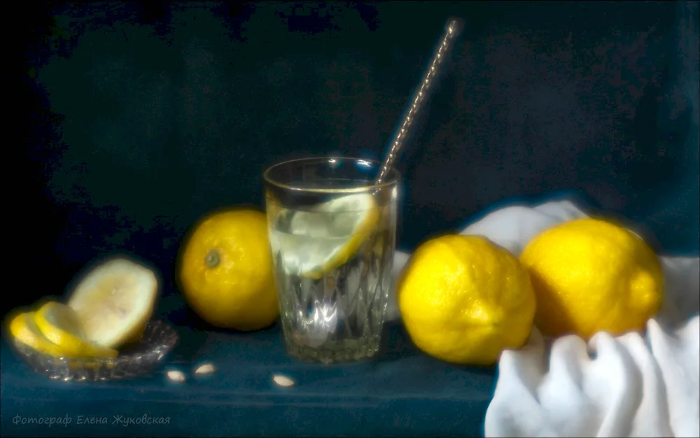 Still Life
