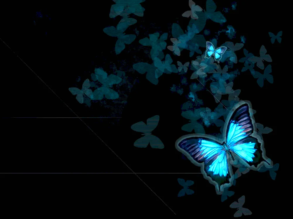 Blue butterfly