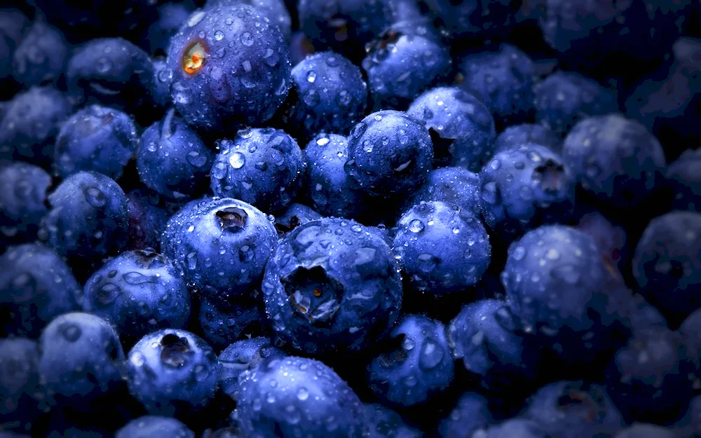 Blue berries