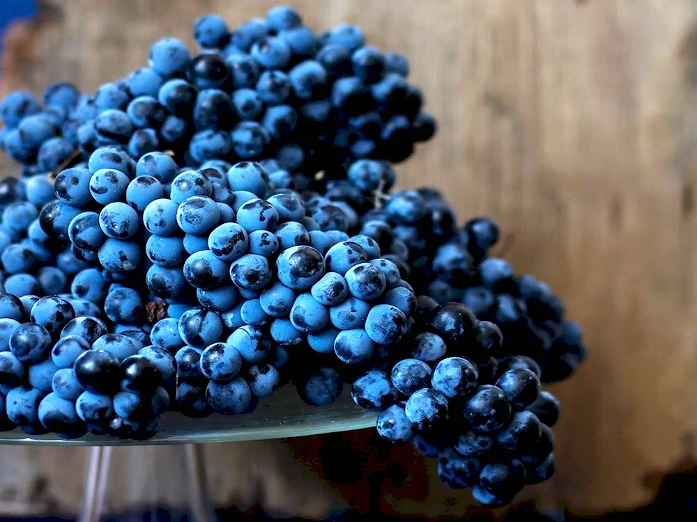 Turn berry