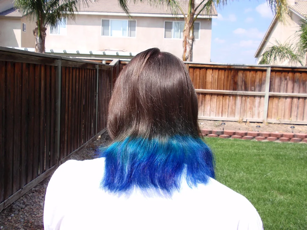 Blue tips hair