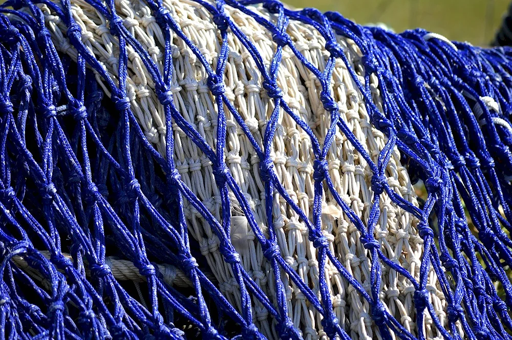 Fishing net