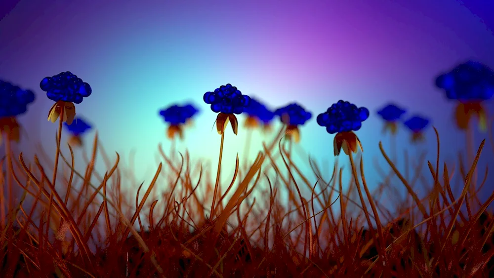 Wassilok flowers