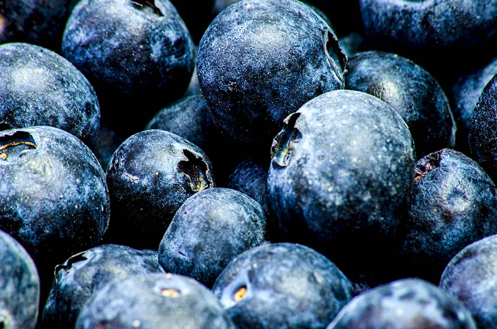 Blueberries Blueberries