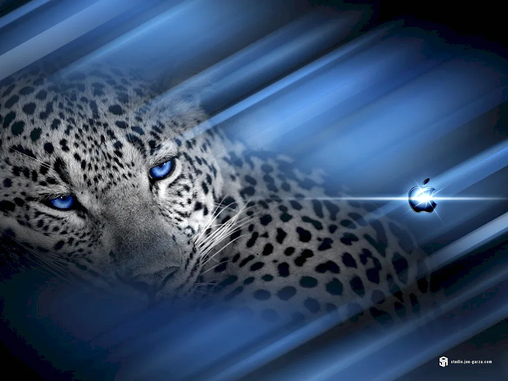 Blue Leopard