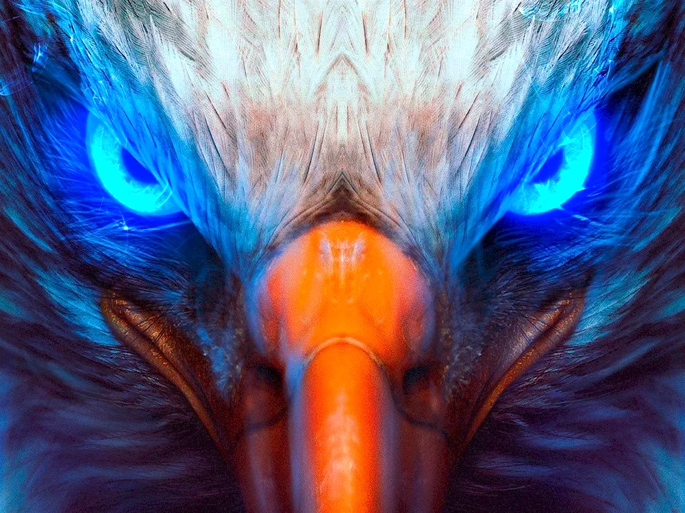 Blue Eagle