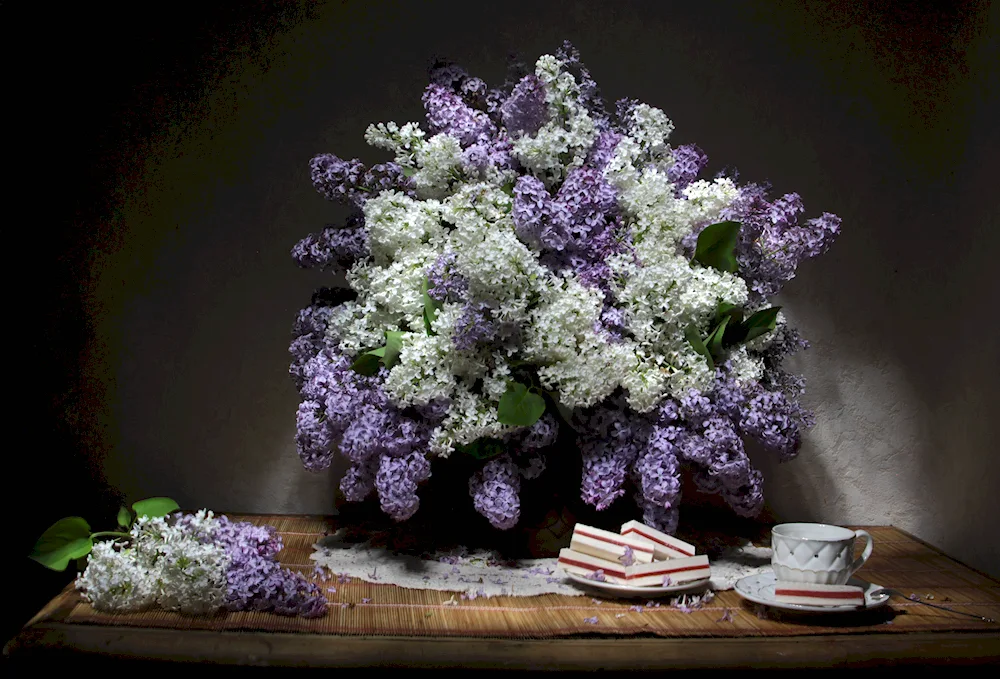 Photonaturorty Andrey Morozov