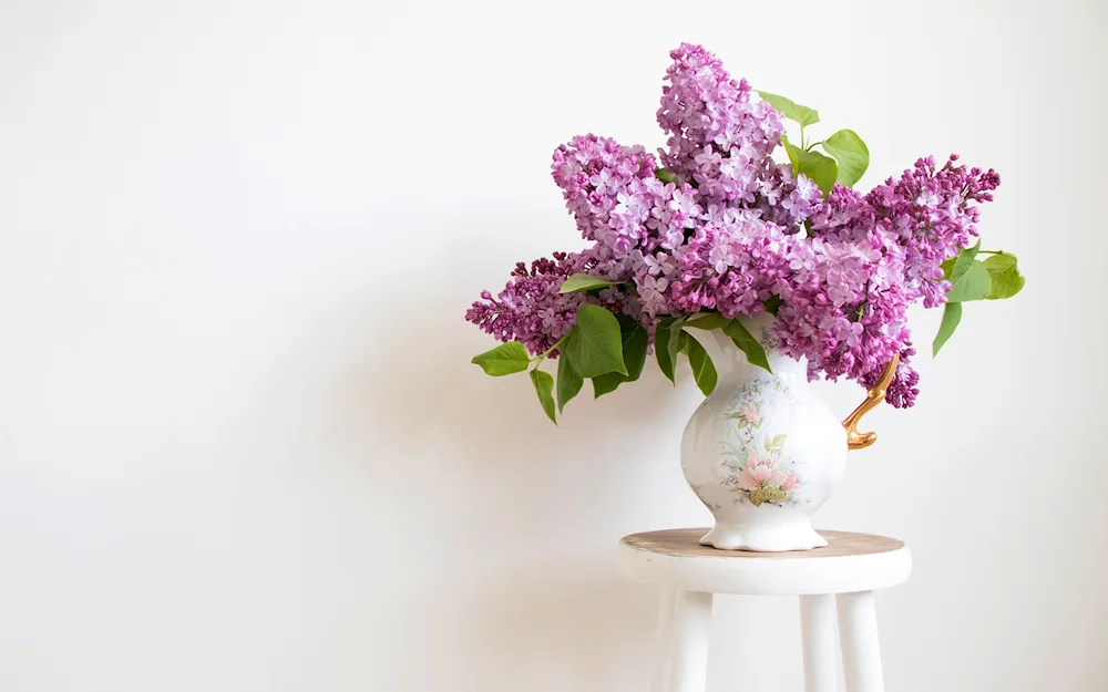 Lilac Georgi Sviridov