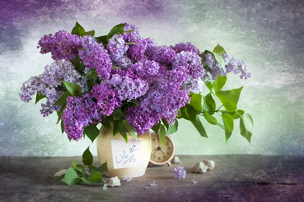 Lilac Abundance