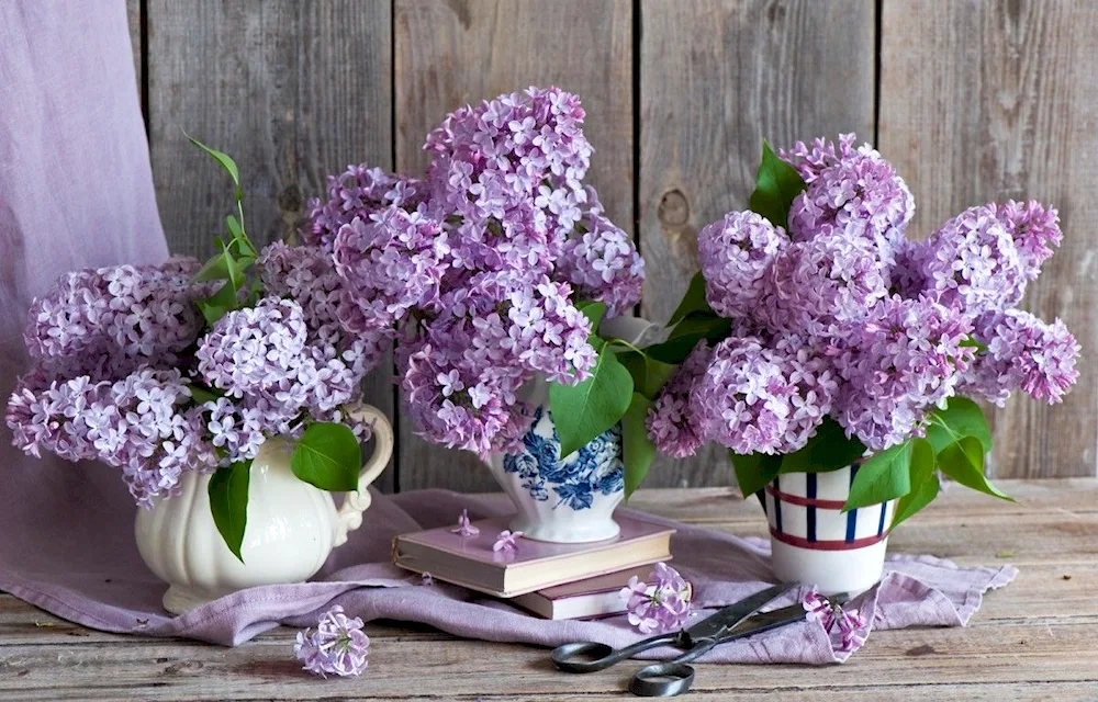 Rembrandt still life lilacs