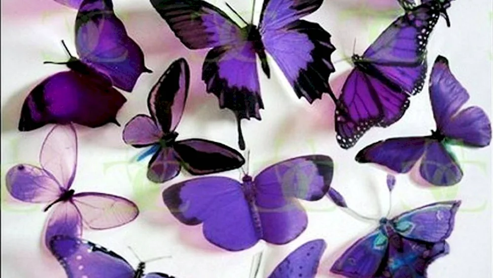 Butterfly background butterflies