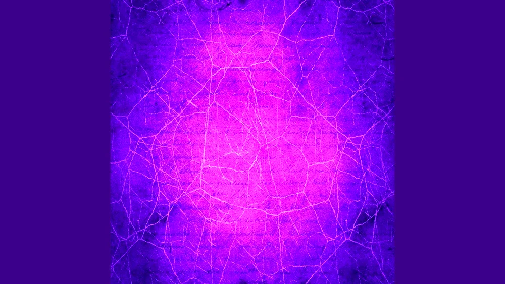 Violet background