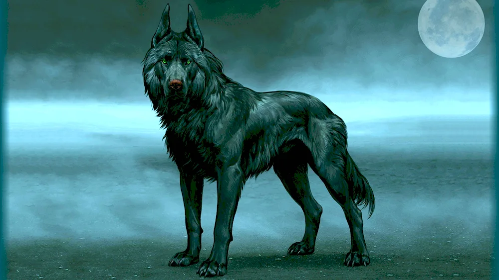 Sirius Black black dog