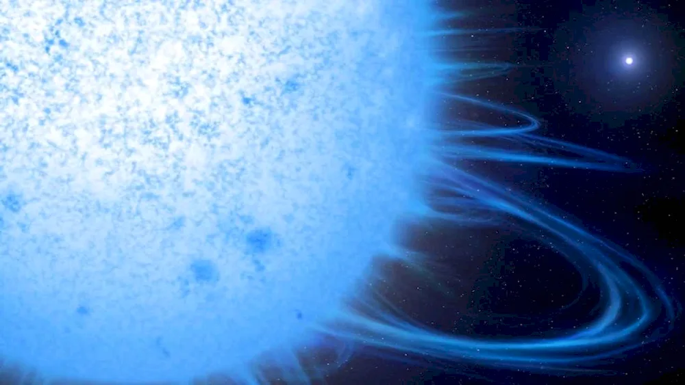 Story about Sirius star 5th grade