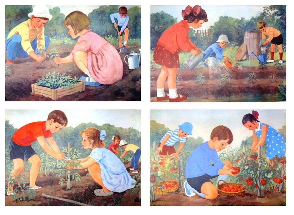 Story pictures