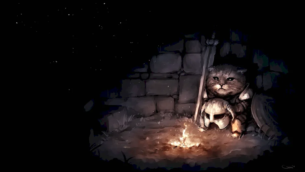 Cat bored