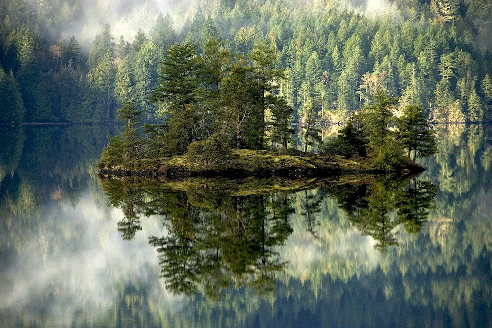 Scandinavia forest Black Forest Lake