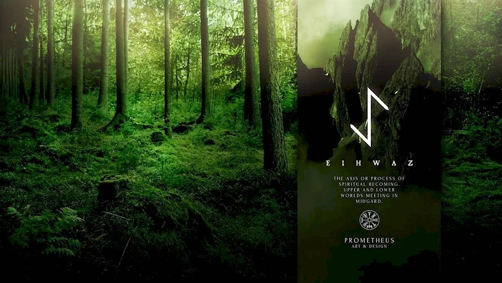 Scandinavian forest and runes