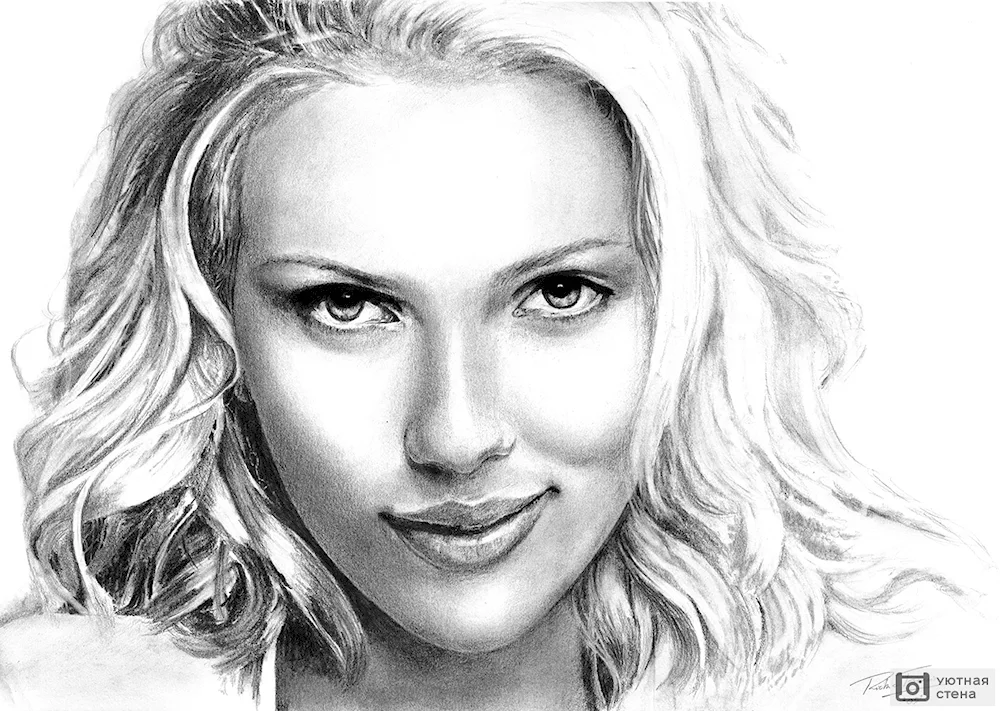 Bob profile drawing