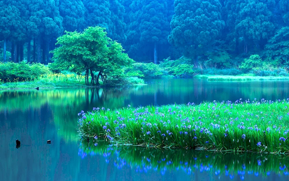 South Black Forest Lake