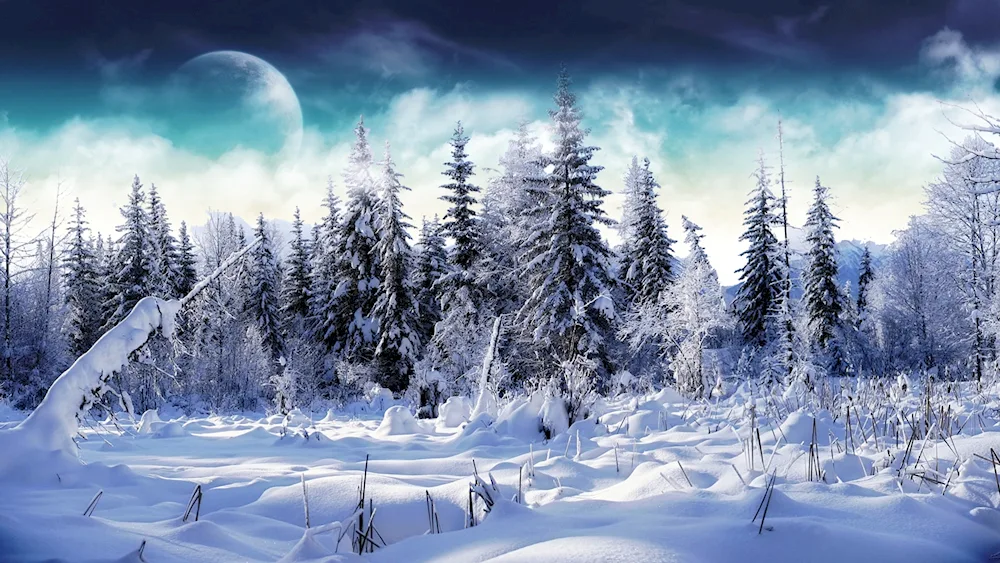 Winter landscape