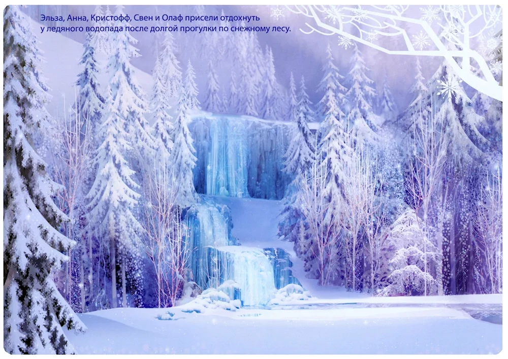 Winter forest background with forest