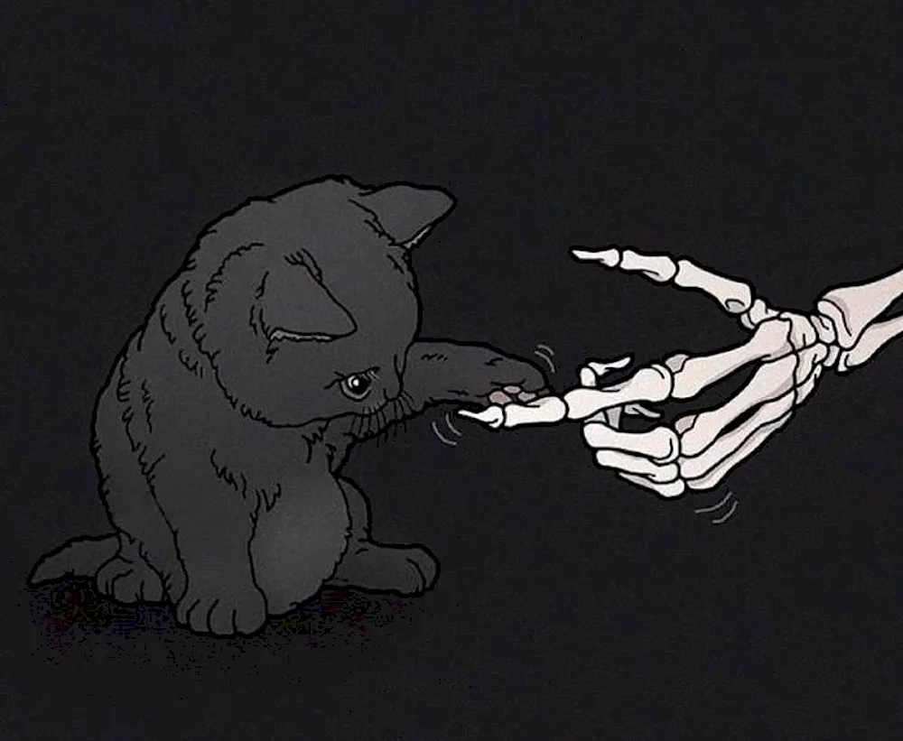 Cat skeleton structure