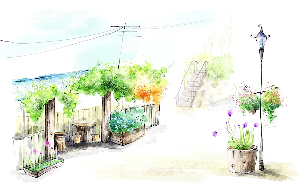 Sketch nature