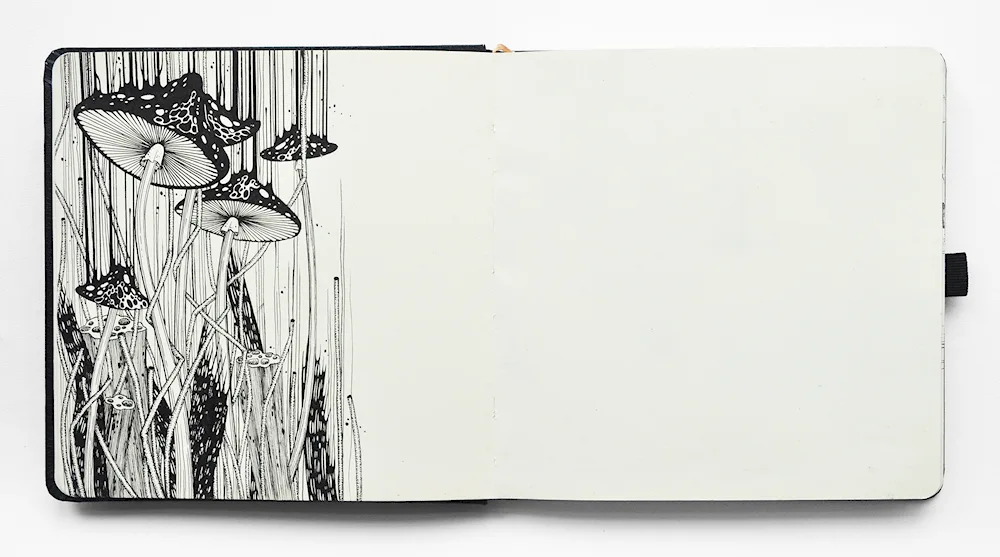 Sketchbook