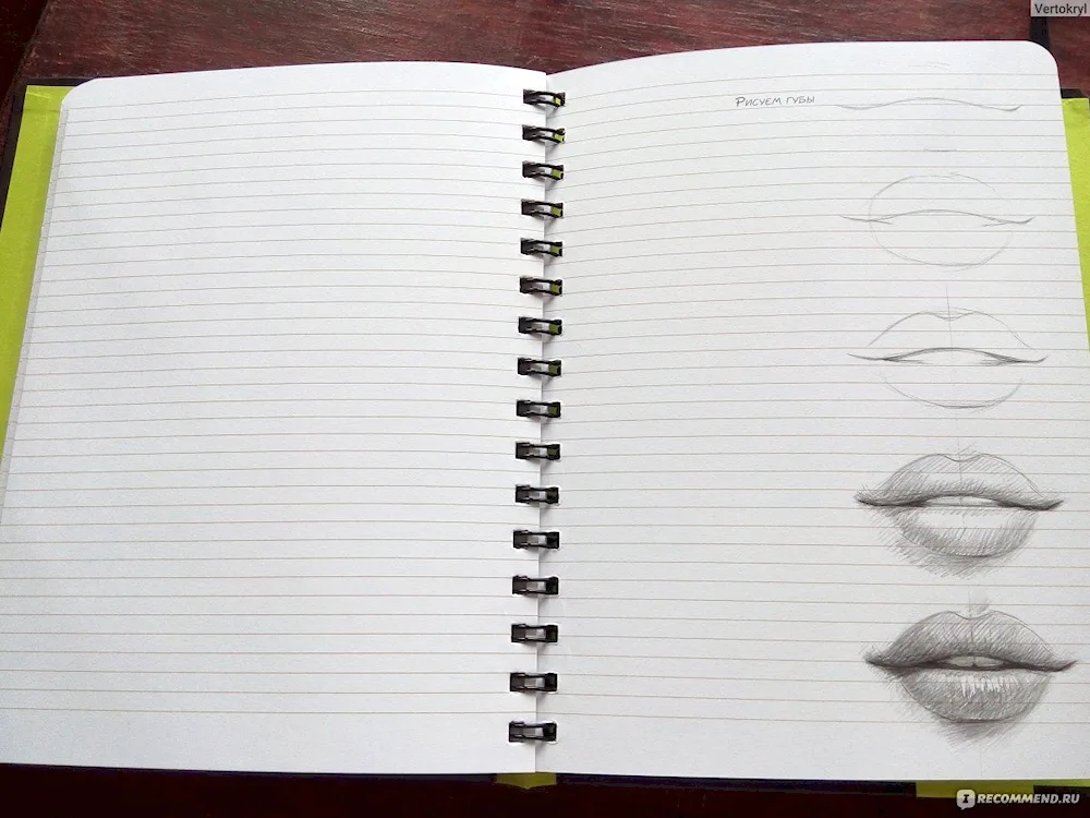 Drawings for sketchbook in circle